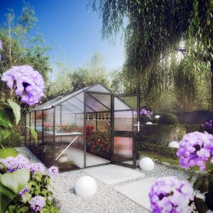 KASVIHUONE ROSE, 10 MM KENNOLEVY
