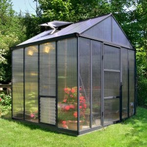 CANOPIA GLORY KASVIHUONE 5,97m2, 8x8